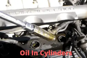 Oil In Cylinders [5 Easy Solutions]