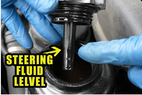 steering fluid lelvel