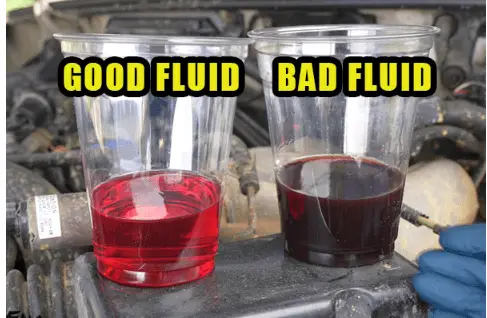 good or bad fluid