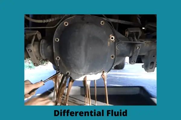 differential fluid