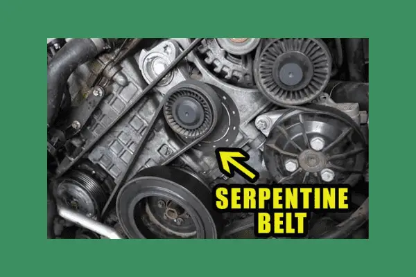 serpentine belt