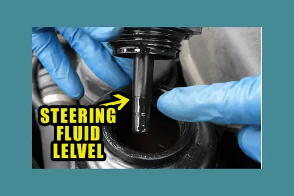 steering fluid lelvel 