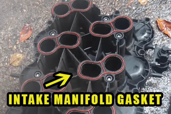intake manifold gasket
