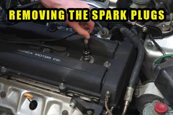 remove the spark plugs