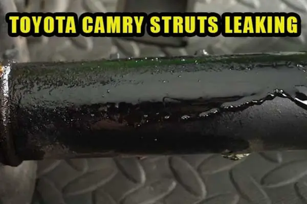 toyota camry struts leaking