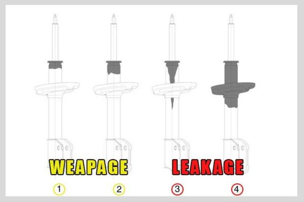 difference between a webpage and leakage