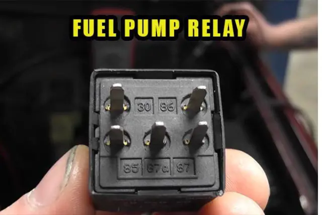 fuel pump relay