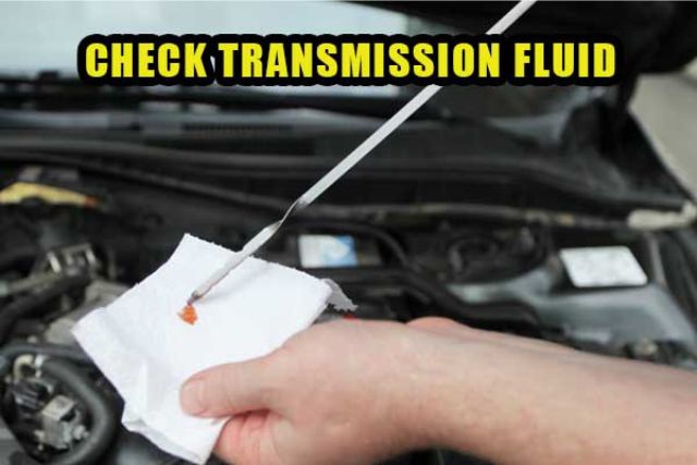 check transmission fluid