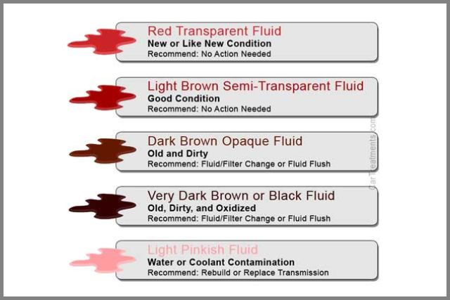 color of a nice transmission fluid