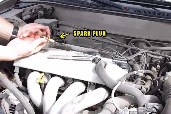 car spark plugs